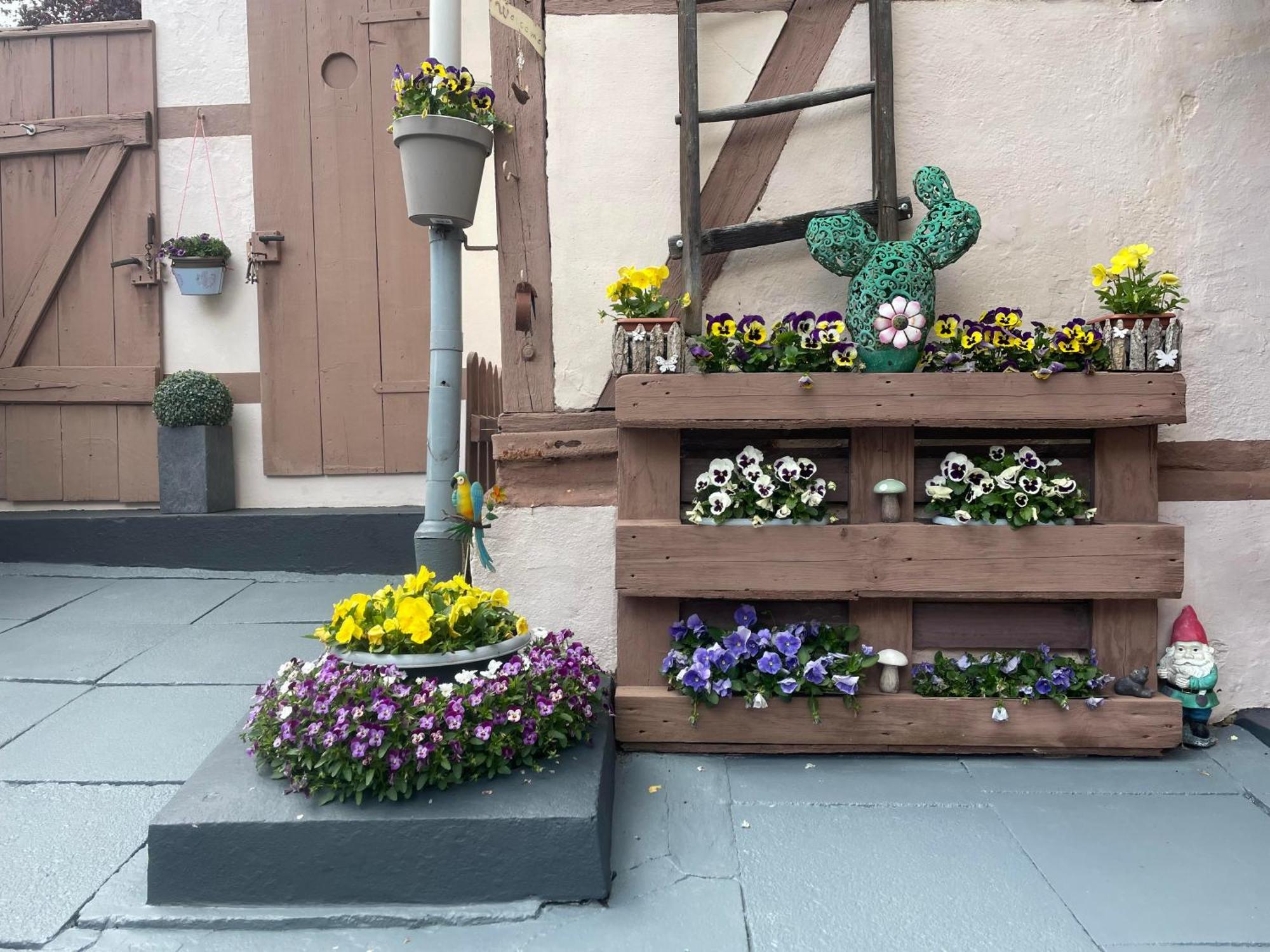 Ferienhaus Belkot Bad Sachsa Exteriör bild